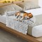 Plush Calming Dog Couch Bed with Removable and Washable Zipper Cover